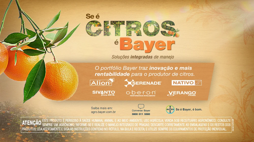 Banner Site