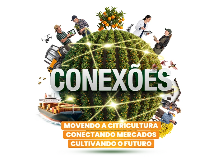 conexoes